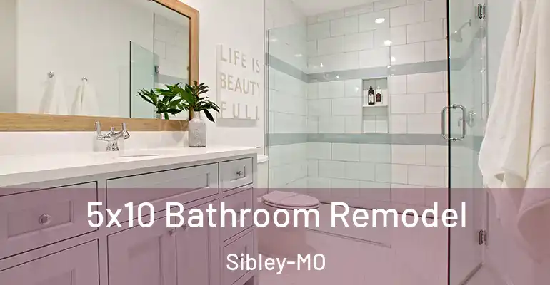 inner Bathroom imggen 5x10 Bathroom Remodel Sibley-MO