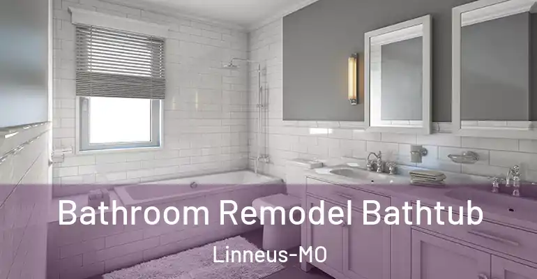 inner Bathroom imggen Bathroom Remodel Bathtub Linneus-MO