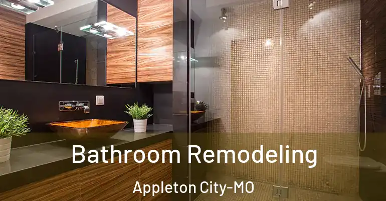inner Bathroom imggen Bathroom Remodeling Appleton City-MO