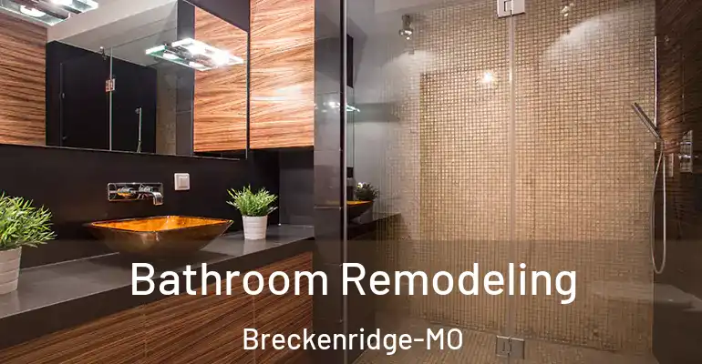inner Bathroom imggen Bathroom Remodeling Breckenridge-MO