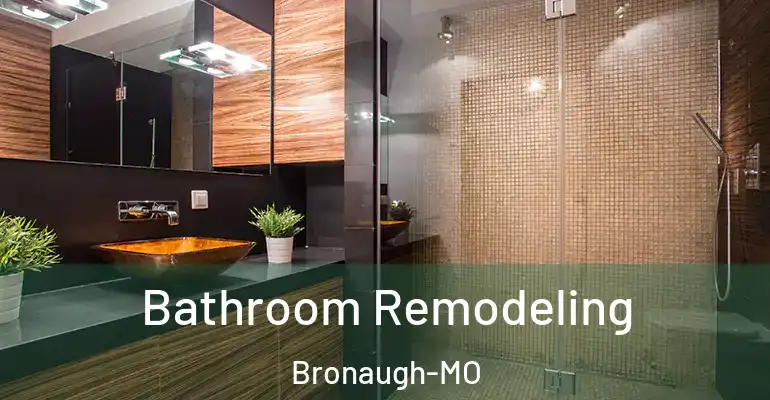 inner Bathroom imggen Bathroom Remodeling Bronaugh-MO