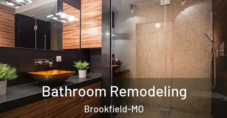 inner Bathroom imggen Bathroom Remodeling Brookfield-MO