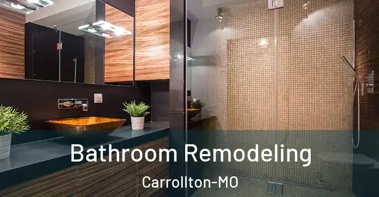 inner Bathroom imggen Bathroom Remodeling Carrollton-MO