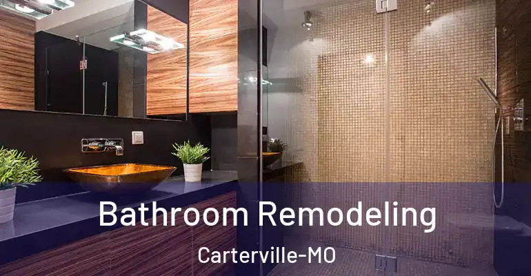 inner Bathroom imggen Bathroom Remodeling Carterville-MO