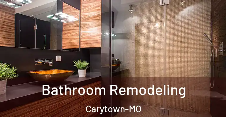 inner Bathroom imggen Bathroom Remodeling Carytown-MO
