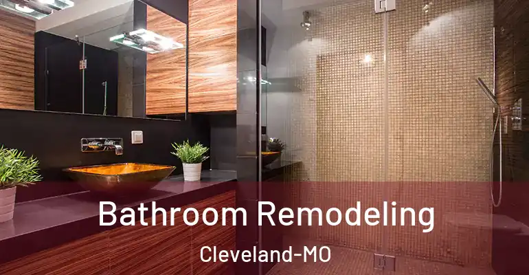 inner Bathroom imggen Bathroom Remodeling Cleveland-MO