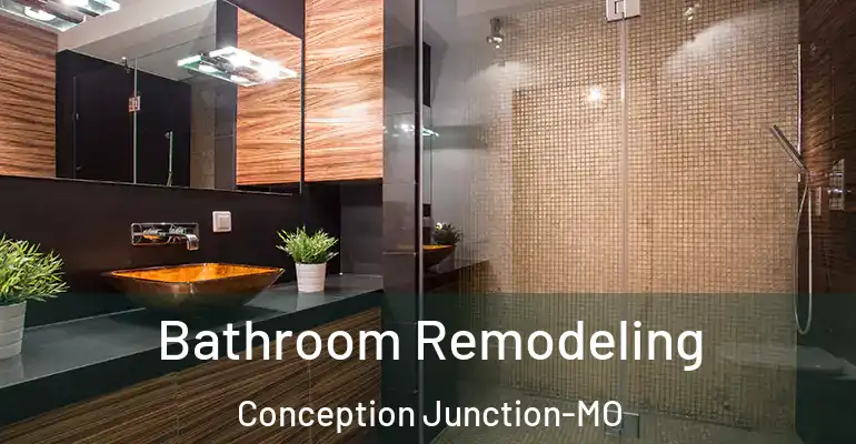 inner Bathroom imggen Bathroom Remodeling Conception Junction-MO