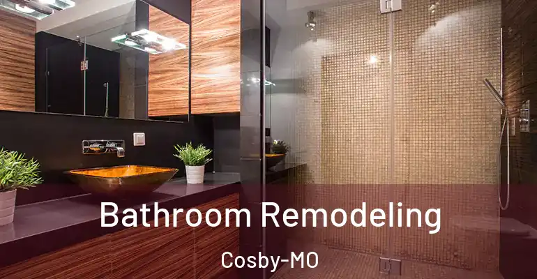 inner Bathroom imggen Bathroom Remodeling Cosby-MO