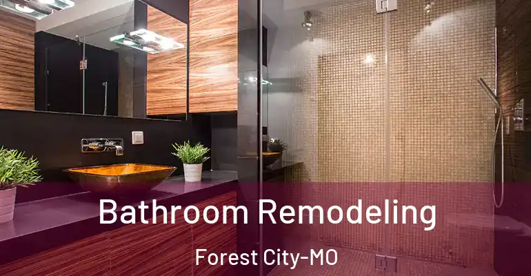 inner Bathroom imggen Bathroom Remodeling Forest City-MO