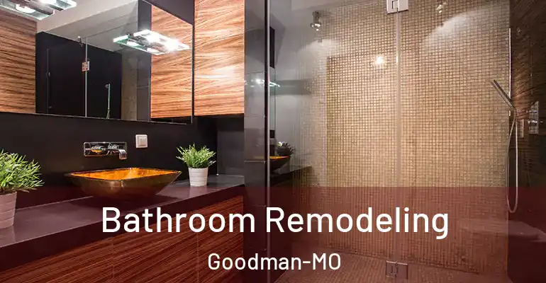 inner Bathroom imggen Bathroom Remodeling Goodman-MO