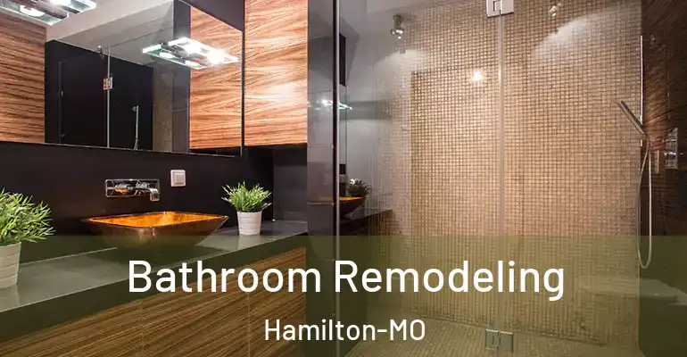inner Bathroom imggen Bathroom Remodeling Hamilton-MO