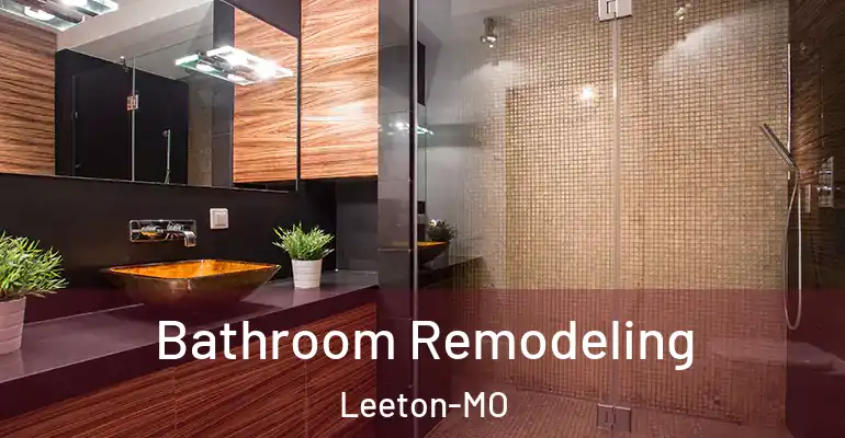 inner Bathroom imggen Bathroom Remodeling Leeton-MO