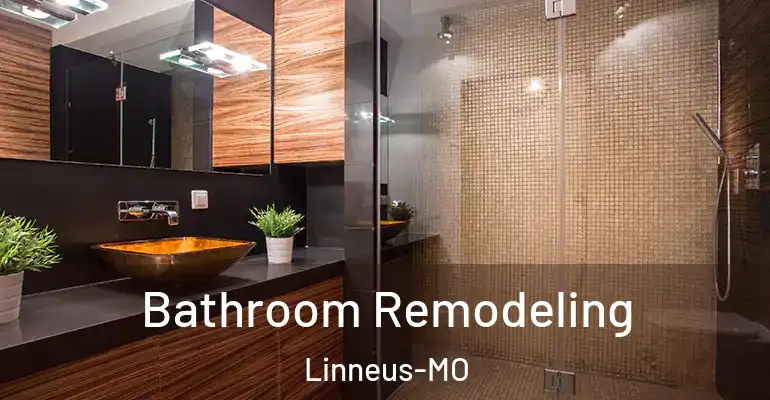 inner Bathroom imggen Bathroom Remodeling Linneus-MO
