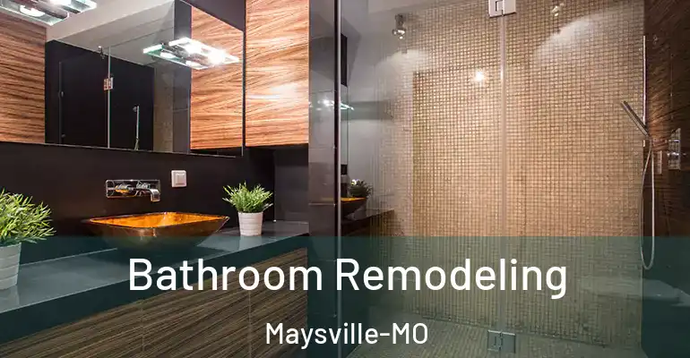 inner Bathroom imggen Bathroom Remodeling Maysville-MO