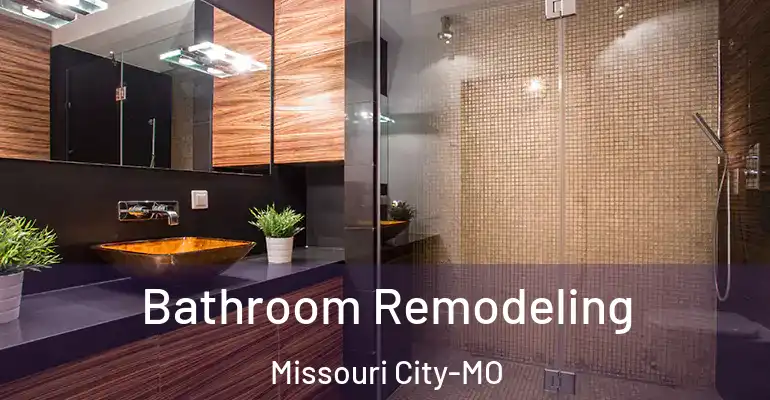 inner Bathroom imggen Bathroom Remodeling Missouri City-MO