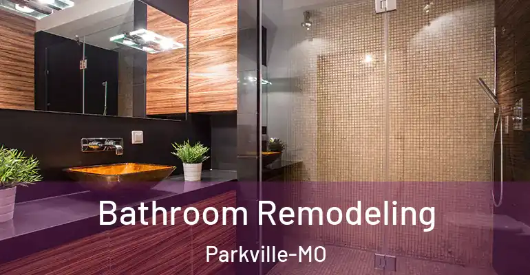 inner Bathroom imggen Bathroom Remodeling Parkville-MO