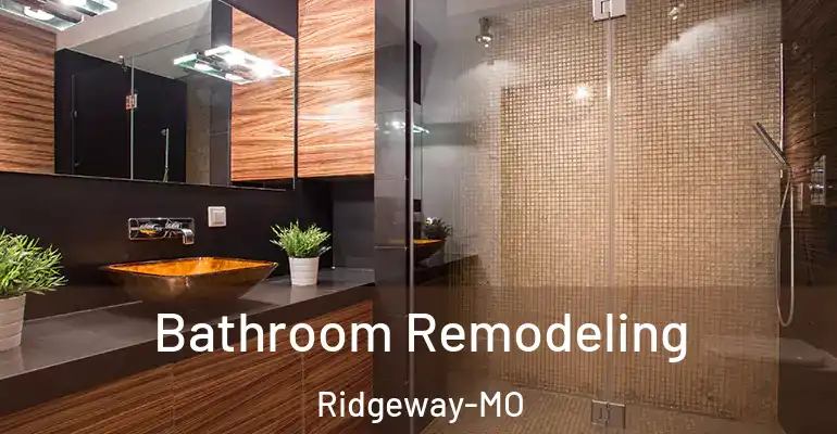 inner Bathroom imggen Bathroom Remodeling Ridgeway-MO