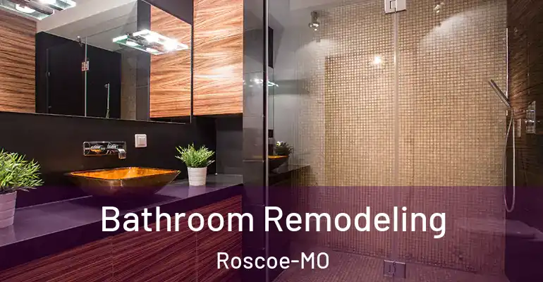 inner Bathroom imggen Bathroom Remodeling Roscoe-MO