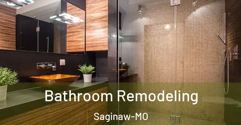 inner Bathroom imggen Bathroom Remodeling Saginaw-MO
