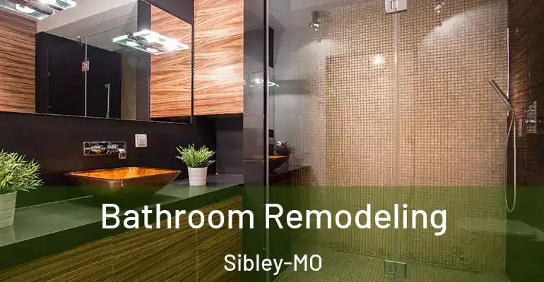 inner Bathroom imggen Bathroom Remodeling Sibley-MO