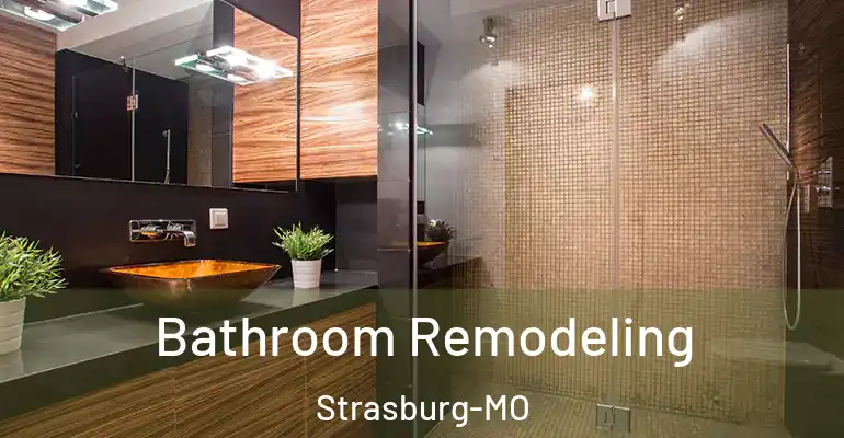 inner Bathroom imggen Bathroom Remodeling Strasburg-MO