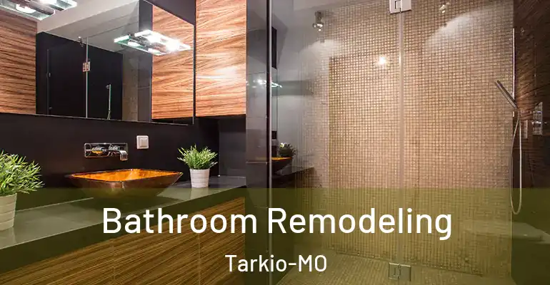 inner Bathroom imggen Bathroom Remodeling Tarkio-MO
