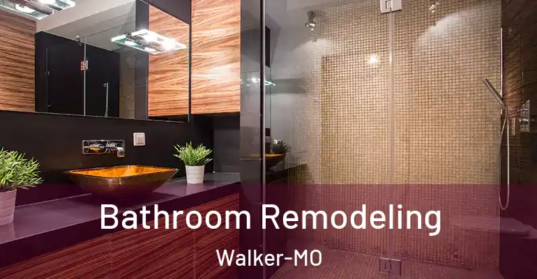inner Bathroom imggen Bathroom Remodeling Walker-MO