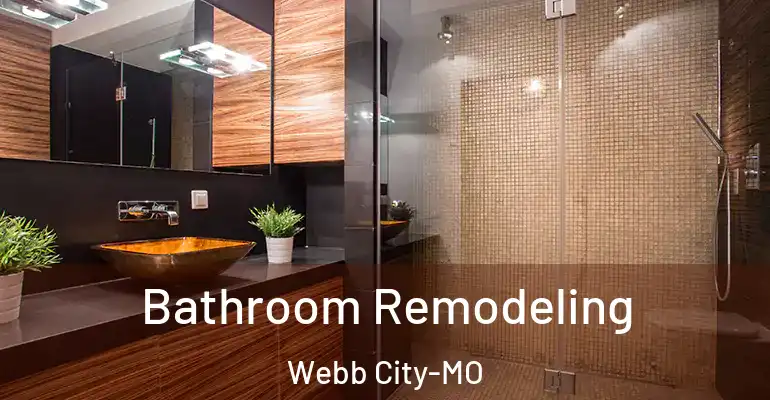 inner Bathroom imggen Bathroom Remodeling Webb City-MO