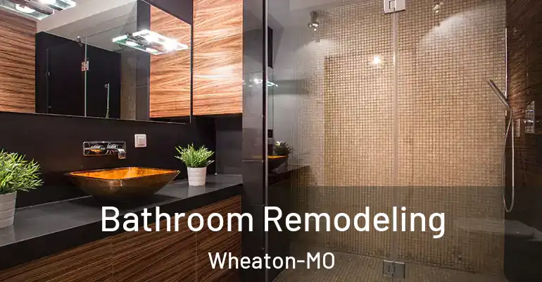 inner Bathroom imggen Bathroom Remodeling Wheaton-MO