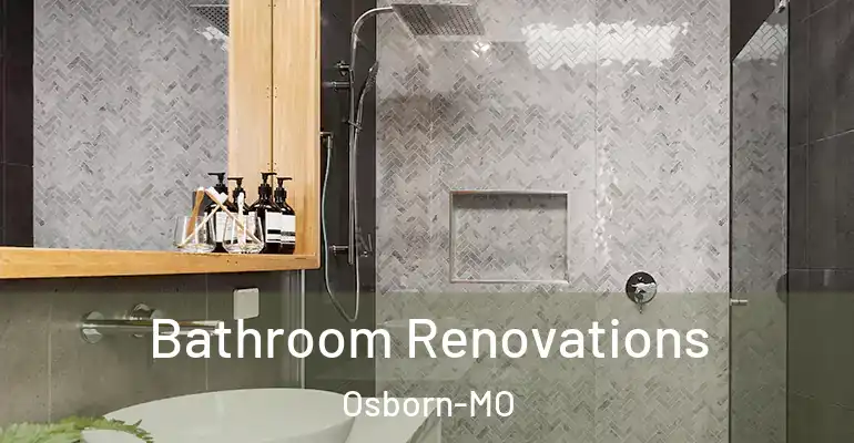 inner Bathroom imggen Bathroom Renovations Osborn-MO