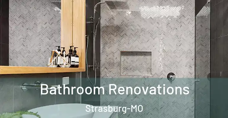 inner Bathroom imggen Bathroom Renovations Strasburg-MO