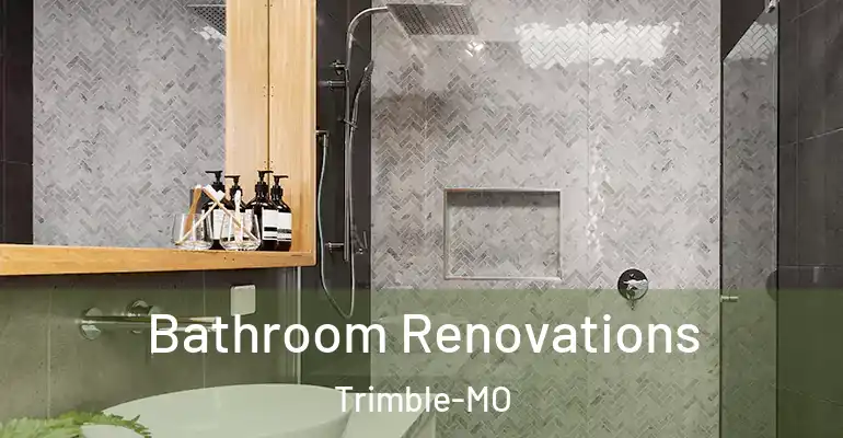 inner Bathroom imggen Bathroom Renovations Trimble-MO
