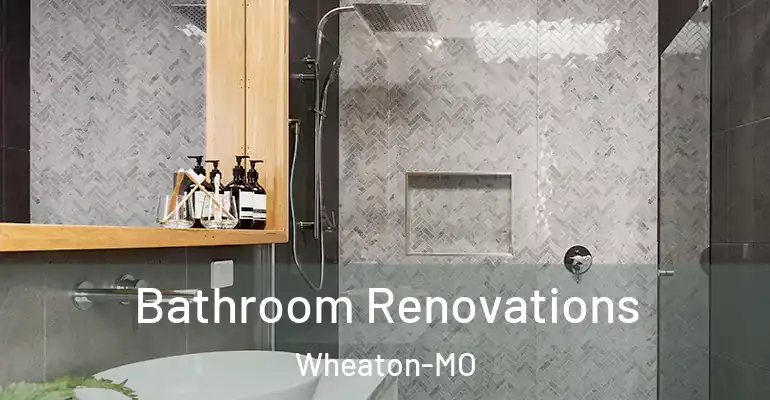 inner Bathroom imggen Bathroom Renovations Wheaton-MO