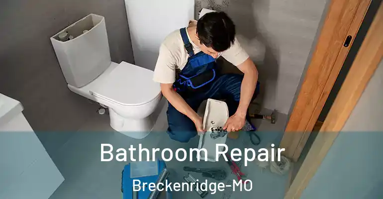 inner Bathroom imggen Bathroom Repair Breckenridge-MO
