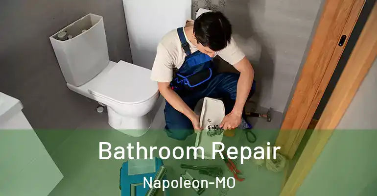 inner Bathroom imggen Bathroom Repair Napoleon-MO