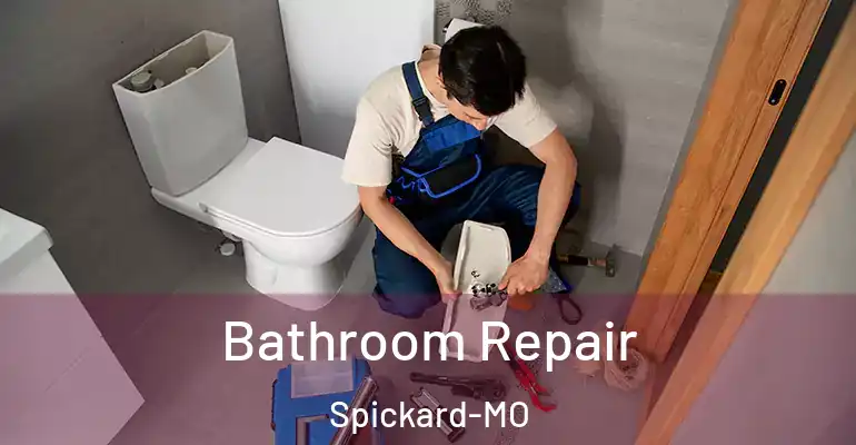 inner Bathroom imggen Bathroom Repair Spickard-MO