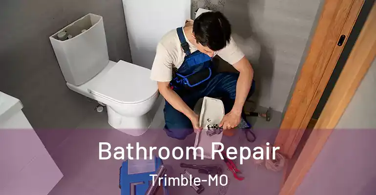 inner Bathroom imggen Bathroom Repair Trimble-MO
