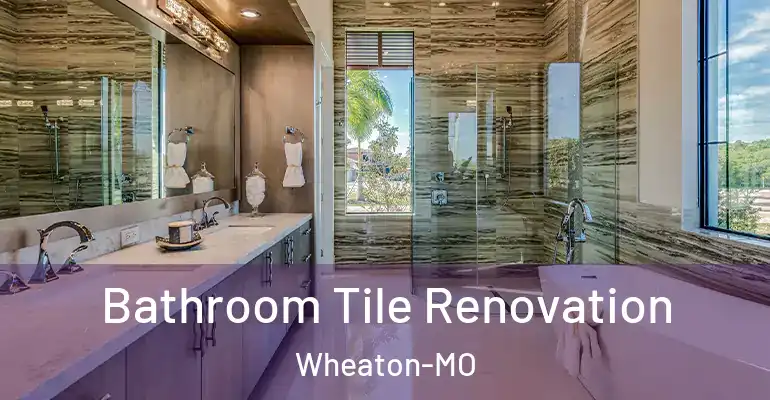 inner Bathroom imggen Bathroom Tile Renovation Wheaton-MO