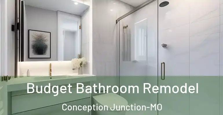 inner Bathroom imggen Budget Bathroom Remodel Conception Junction-MO