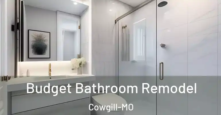 inner Bathroom imggen Budget Bathroom Remodel Cowgill-MO