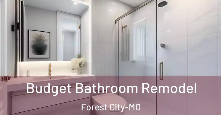 inner Bathroom imggen Budget Bathroom Remodel Forest City-MO