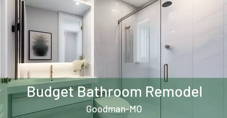 inner Bathroom imggen Budget Bathroom Remodel Goodman-MO