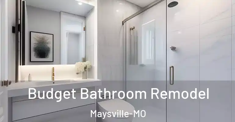 inner Bathroom imggen Budget Bathroom Remodel Maysville-MO