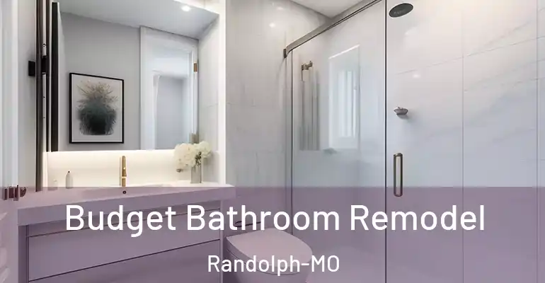 inner Bathroom imggen Budget Bathroom Remodel Randolph-MO