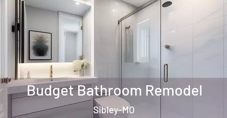 inner Bathroom imggen Budget Bathroom Remodel Sibley-MO