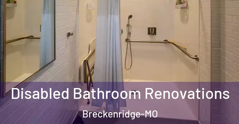 inner Bathroom imggen Disabled Bathroom Renovations Breckenridge-MO