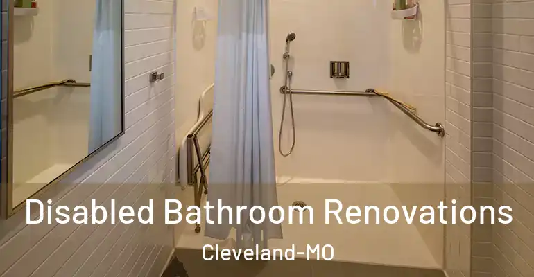 inner Bathroom imggen Disabled Bathroom Renovations Cleveland-MO