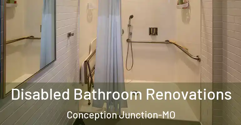 inner Bathroom imggen Disabled Bathroom Renovations Conception Junction-MO