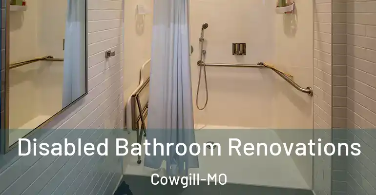inner Bathroom imggen Disabled Bathroom Renovations Cowgill-MO