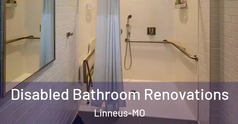 inner Bathroom imggen Disabled Bathroom Renovations Linneus-MO